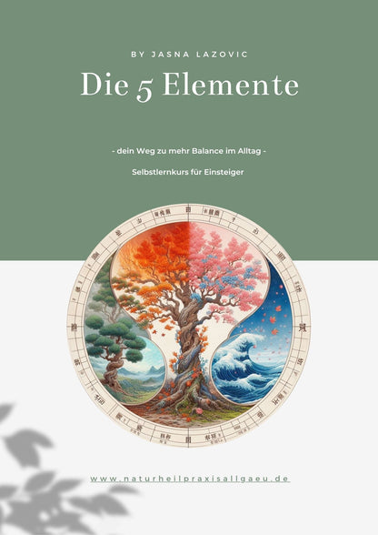 Selbstlernkurs: Die 5 Elemente der Chinesischen Medizin