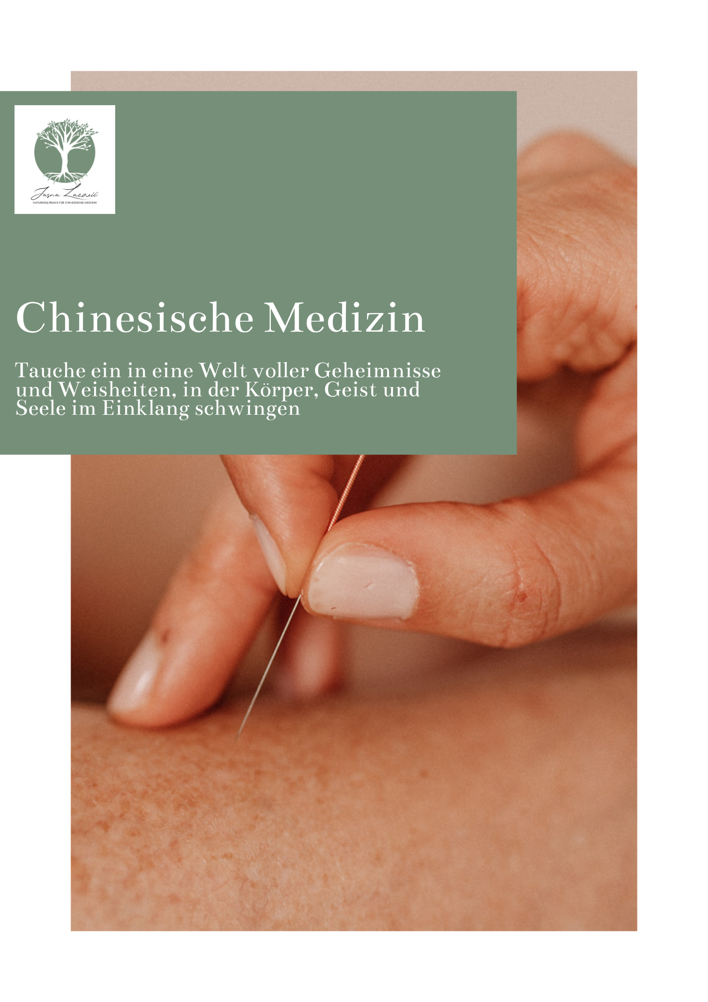 eBook: Die Chinesische Medizin verstehen und im Alltag anwenden